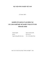 Nghiên cứu quản lý lao động tại các làng nghề mộc mỹ nghệ ở thị xã từ sơn tỉnh bắc ninh   