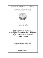 Tổng hợp và đánh giá tác dụng sinh học của một số hợp chất chứa khung adamantan  