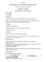 Giáo án Tuần 13 - Lớp 3