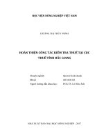 Hoàn thiện công tác kiểm tra thuế tại cục thuế tỉnh bắc giang   