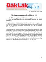 Già làng gương mẫu, làm kinh tế giỏi