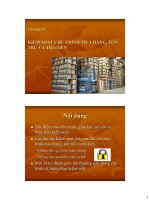 Bài giảng Kiểm soát nội bộ: Chương 4 - Trần Thị Giang Tân