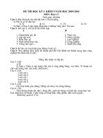 Đề thi HK I-khối 5 năm học 2009-2010 (có đáp án)