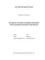 Xác định sự lưu hành của porcine parvovirus (ppv) ở lợn nuôi tại hà nội và vùng phụ cận   