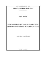 Ứng dụng viễn thám giám sát sự suy giảm hàm lượng chlorophyll do ô nhiễm môi trường biển tỉnh cà mau 
