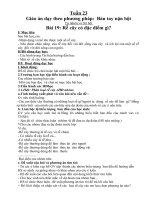 bài 43 rễ cây  tự nhiên và xã hội 3  trần thị thúy thành  thư viện giáo án điện tử