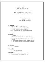 Ôn tập, kiểm tra học kì I và II; kiểm tra, đánh giá, xếp loại thể lực