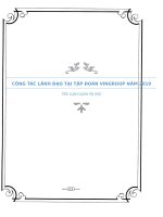 Công tác lãnh đạo tại tập đoàn Vingroup