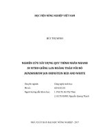 Nghiên cứu xây dựng quy trình nhân nhanh in vitro giống lan hoàng thảo vôi đỏ dendrobium jan orinstein red and white   