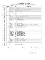 Giáo án Tuần 17 - Lớp 3