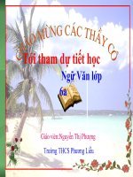 Bài 15. Tính từ và cụm tính từ