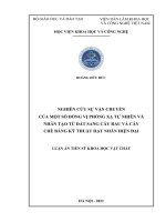 Nghiên cứu sự vận chuyển của một số đồng vị phóng xạ tự nhiên và nhân tạo từ đất sang cây rau và cây chè bằng kỹ thuật hạt nhân hiện đại 