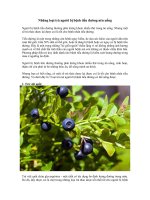 Tải Những loại trà người bị bệnh tiểu đường nên uống - Thực phẩm dành cho người tiểu đường