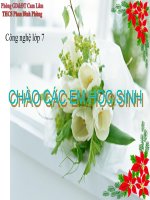 MÔN CÔNG NGHỆ 7 - CĐ 2. KHAI THÁC VÀ BẢO VỆ RỪNG