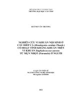 (Luận án tiến sĩ) nghiên cứu hiệu quả điều hòa enzyme chuyển hóa glucose của lá xoài non (mangifera indica l ) và rễ me keo (pithecellobium dulce (roxb ) benhth ) trên chuột bệnh đái tháo đường 