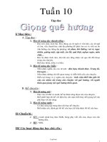 Giáo án Tổng hợp Lớp 3 - Tuần 10 - Năm học 2004-2005