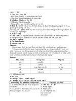 bài 13 chỉ từ  ngữ văn 6  lô thị thắm  thư viện giáo án điện tử