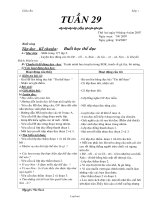 Giáo án Vật lí Lớp 8 - Chương trình cả năm - Năm học 2010-2011 - Vi Nhật Thảo