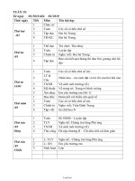 Giáo án giảng dạy Tuần 19 Khối 3