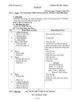 Giáo án Lớp 3 Tuần 34 - GV: Lê Phước Tuấn - Trường Tiểu Học Thanh