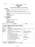 Giáo án tổng hợp Tuần số 1 - Lớp 3 năm học 2010