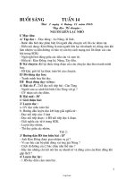 Giáo án Lớp 3 Tuần 14 - Buổi sáng - Trường Tiểu học Thị trấn Tây Sơn