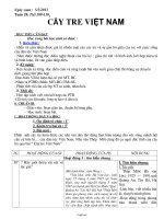 Giáo án môn Ngữ văn lớp 6 - Tuần 28 - Tiết 109 đến tiết 116