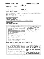 Giáo án Ngữ Văn Lớp 6 - Tuần 9 đến 12 - Năm học 2004-2005