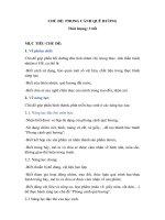 Giáo án Mĩ thuật 1 Chủ đề 8 Phong cảnh quê hương Sách chân trời mới