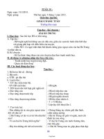 Giáo án tổng hợp Tuần thứ 19 - Lớp 3 năm 2011