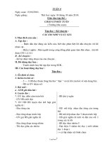 Giáo án tổng hợp Tuần thứ 8 - Lớp 3 năm 2010