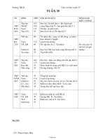 Giáo án Lớp 3 Tuần 35 - Trường TH Lộc Hòa