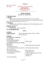 Giáo án tổng hợp Tuần thứ 15 - Lớp 3 năm 2010