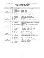 Giáo án Lớp 3 Tuần 19 - Trường TH Phan Đình Phùng