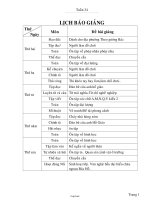 Giáo án Tổng hợp Lớp 2 - Tuần 34 - Năm học 2005-2006