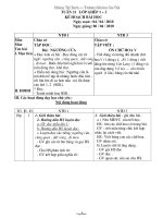 Giáo án Ghép Lớp 1 + 3 Tuần 31 - GV: Hoàng Thị Bạch