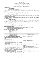 Giáo án Ngữ văn 6 tiết 124: Viết đơn