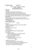 Giáo án Lớp 3 Tuần 5 - Buổi sáng - Trường Tiểu học Thị trấn Tây Sơn