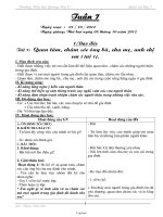 Giáo án Lớp 3 Tuần 7 - Trường Tiểu học Quảng Sơn II