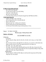 Giáo án Lớp 3 Tuần 8 - Phan Thị Hạ - Trường tiểu học Nguyễn Bá Ngọc