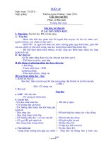 Giáo án Tin học 8 - Tiết 49-50 - Hoàng Thị Lan