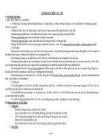 Giáo án Kế hoạch cá nhân Vật lí Lớp 8 - Năm học 2011-2012 - Tưởng Thị Xinh