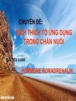 thuc vat hat kin sinh học 6 phạm ngọc thủy thư viện tư liệu giáo dục
