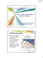 Bài giảng Tâm lý học nhận thức: Chương 1 - ThS. Nhan Thị Lạc An