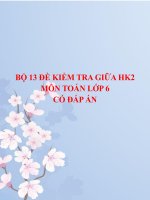 Bộ 13 đề kiểm tra giữa HK2 môn Toán lớp 6 có đáp án