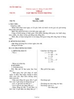 Giáo án Ngữ văn Lớp 6 - Tiết 34+35: Ông lão đánh cá và con cá vàng (Hướng dẫn đọc thêm) - Năm học 2005-2006