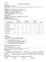 Unit 6. Our Tet holiday. Lesson 1. Getting started