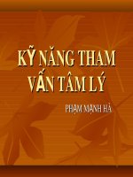 Bài giảng Tham vấn tâm lý: Kỹ năng tham vấn tâm lý - Phạm Mạnh Hà