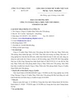 BÁO CÁO THƯỜNG NIÊN CÔNG TY CỔ PHẦN NHỰA THIẾU NIÊN TIỀN PHONG NĂM BÁO CÁO: 2007