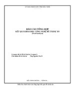 MẪU BÁO CÁO TỔNG HỢP KẾT QUẢ KHOA HỌC CÔNG NGHỆ ĐỀ TÀI/DỰ ÁN